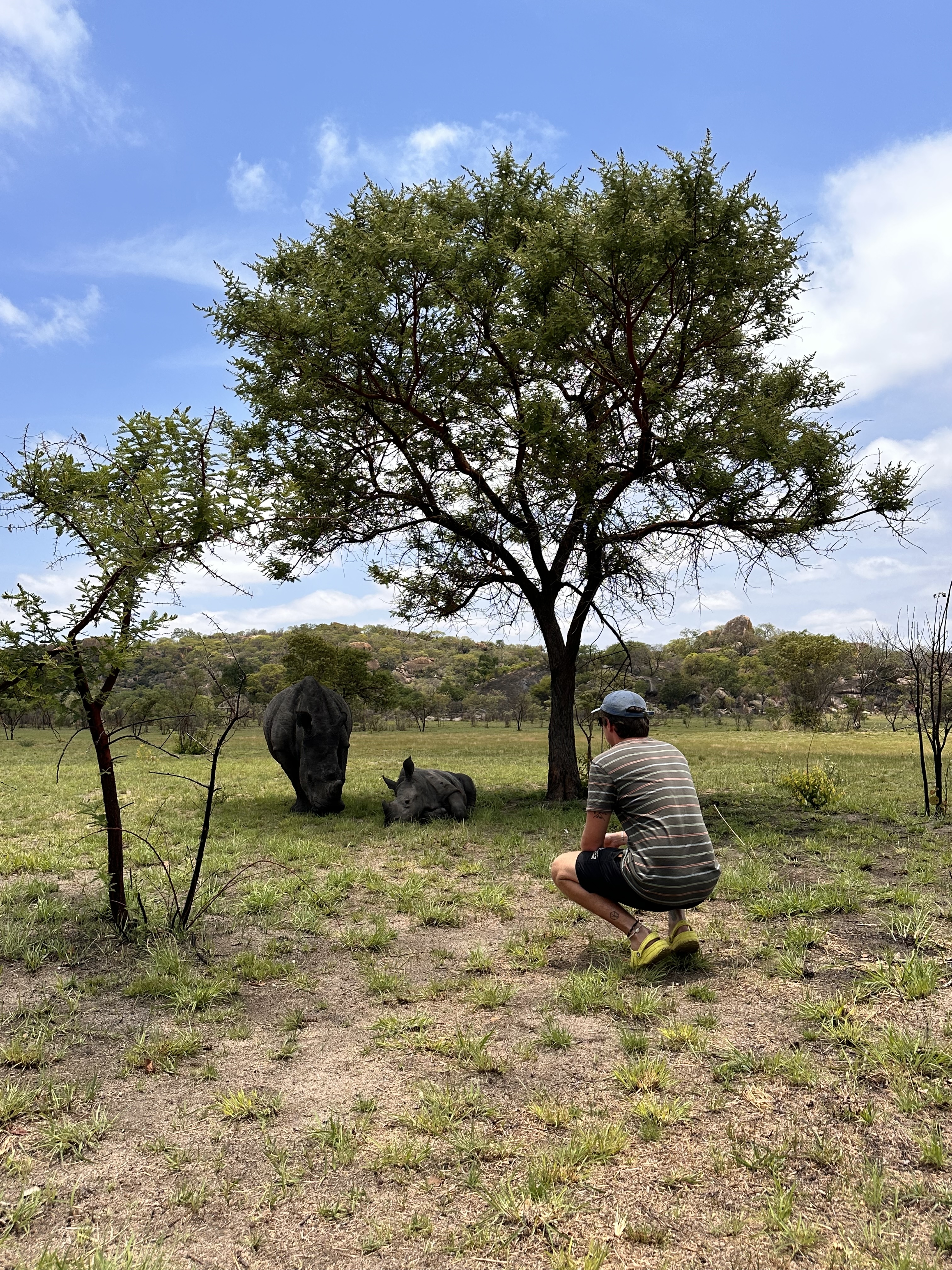 Rhino